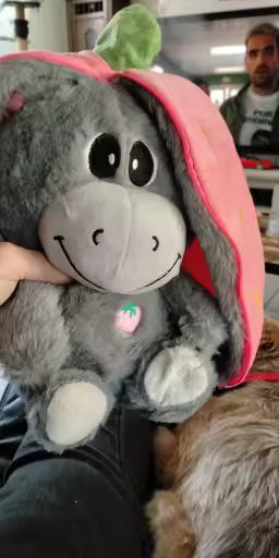 Oddychający Osiołek